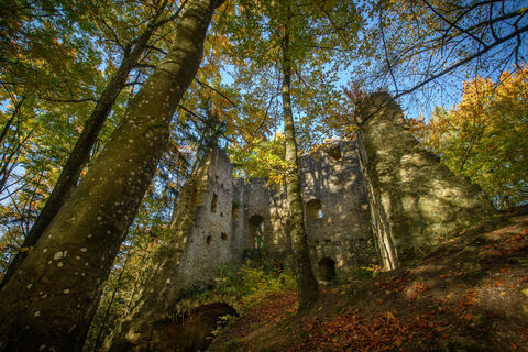 Burgruine Roßstein