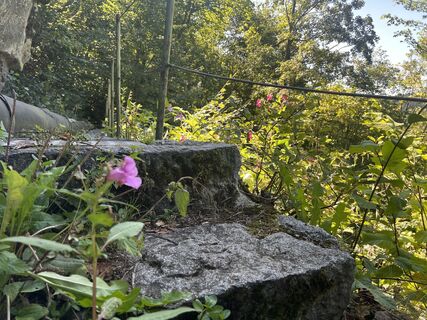 Fotografija s spletne strani skip39 na poti
