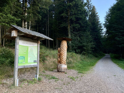 Pfisterwald