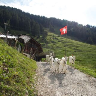 Karte