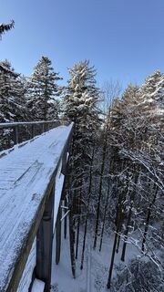 Foto de Richard Vlcek a lo largo del recorrido