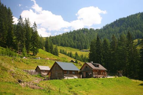 15674-adambaueralm_raffalt.jpg