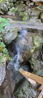 Foto da Nicky lungo il tour