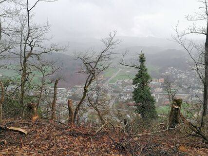 Fotografia z luyyy na trase