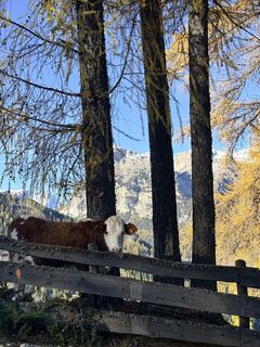 Fotografia z Gianluca Bucciantini na trase