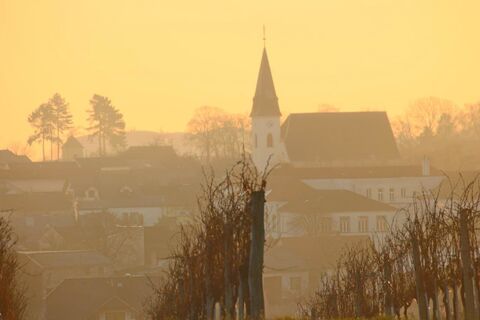 Kirche, Auersthal