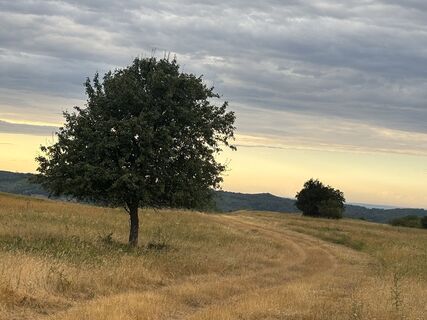 Photo de Reti Alicia le long du parcours
