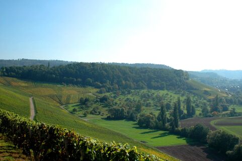 Eschenauer Paradies | Obersulm | Weinsberger Tal | HeilbronnerLand