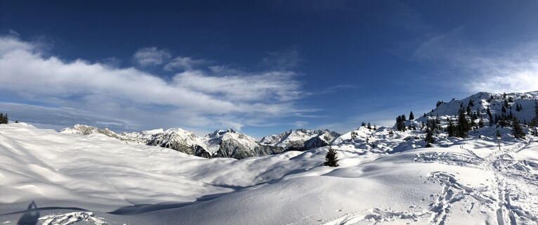 Fotografia z Gridlokk na trase