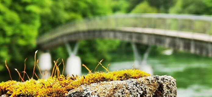 Photo de Klaus Lehner le long du parcours