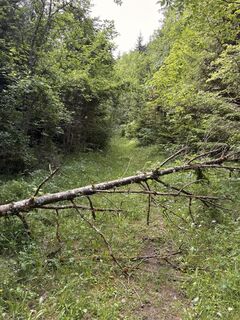 Photo de Stucki Sven le long du parcours