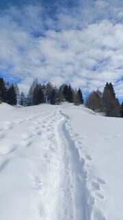 Fotografia z Valerio Masiero na trase