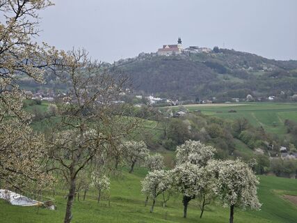 Fotografia z Elisabeth Zednik na trase
