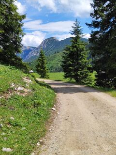 Niederalpl Weißalm