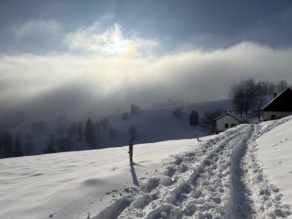 Fotografia z Reinhard Frewein na trase