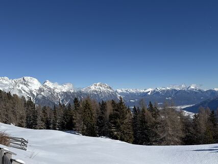 Foto von Grizzli entlang der Tour