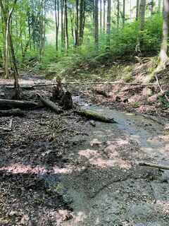 Foto von Radostics entlang der Tour