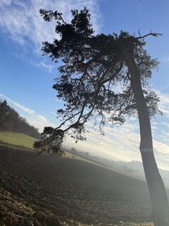 Fotografia z Karl Hermann na trase