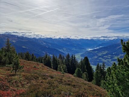 Foto von Sandra Wurzer entlang der Tour