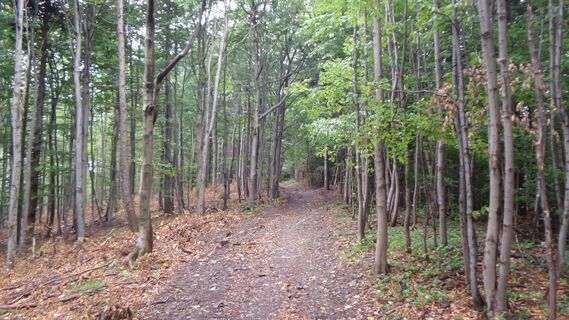 Wanderweg Schöpflgrad