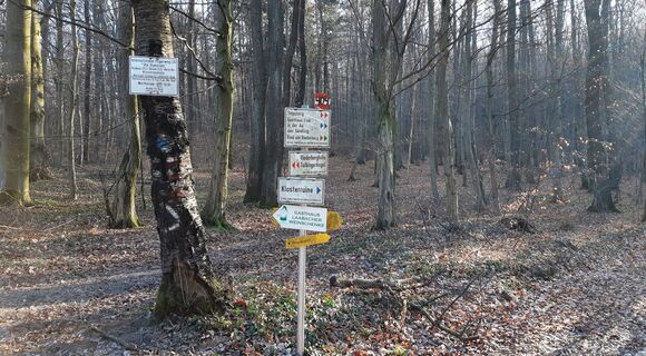 am Forstweg