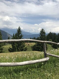 Foto von Marc Buekenhoudt entlang der Tour