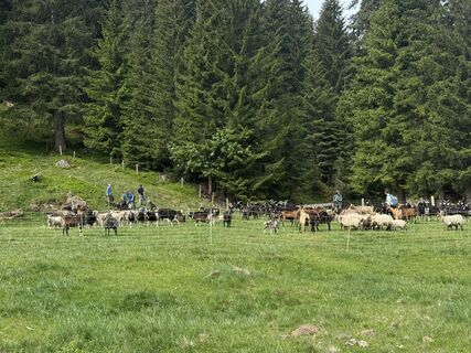 Foto de Andreas Müller a lo largo del recorrido