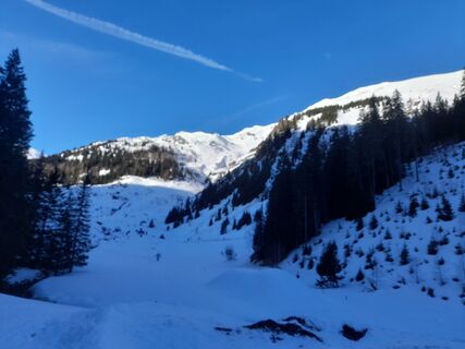 Foto från Sepp26 under resans gång