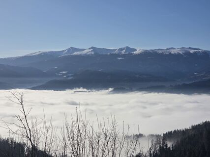 Zdjęcie z Gerti Bärnthaler wzdłuż trasy