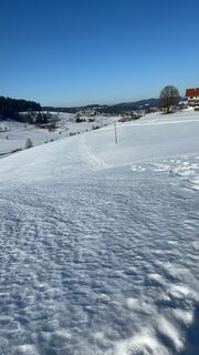 Zdjęcie z M.Ltt wzdłuż trasy