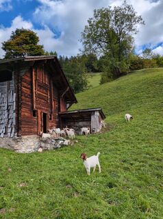 Photo de Malofe le long du parcours