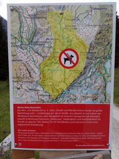 Infotafel Hundeverbot hinteres Gumpental