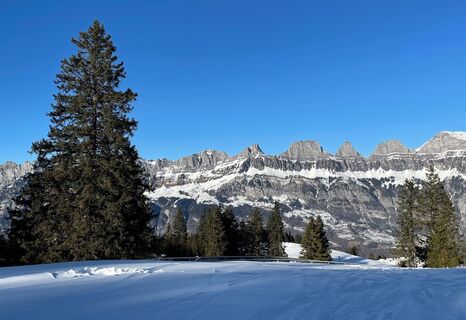 Tannenboden-Seebenalp/Chrüz Ausblick auf Churfirsten