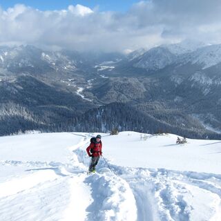 Scheinbergspitze mit Blick ins Graswangtal