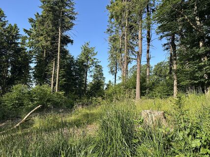 Foto da justasimpleguy lungo il tour