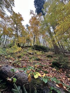 Foto von Sara B entlang der Tour