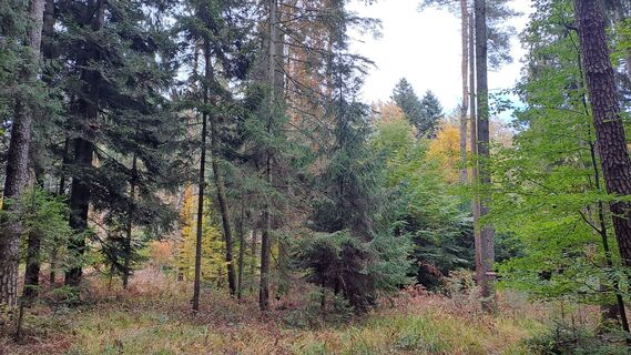 Fotografia z Wolfgang Arlic na trase