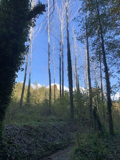 Foto da Andrea Morotti lungo il tour