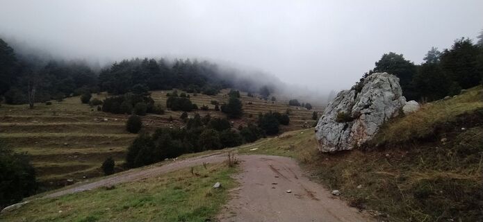 Photo de carmper le long du parcours