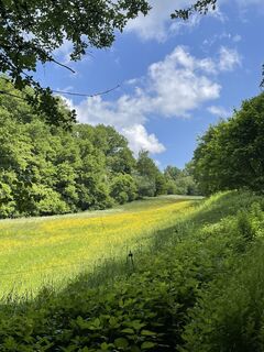 Fotografie z Uwe Puttenat na trase