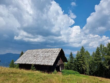 Fotografia z Helmut Neuhold na trase