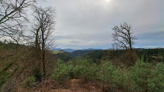 Foto fra Anita Lunzer 1 undervejs på turen