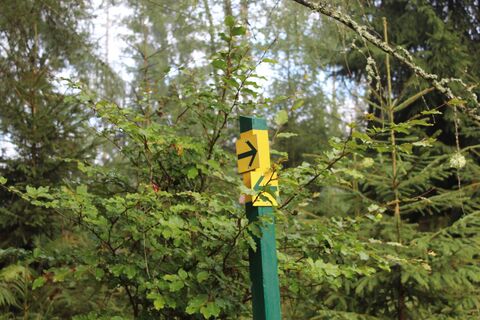 Ein Pfosten als Markierung für den Forststeig, insbesondere bei Umleitungen