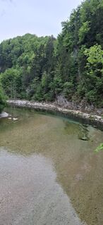 Fotografia z schoenfalter na trase