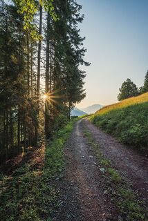 Wanderweg am Rotenberg