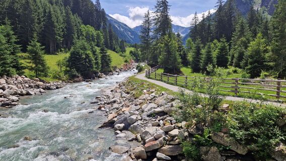 Foto från Gerrit van der Linde under resans gång