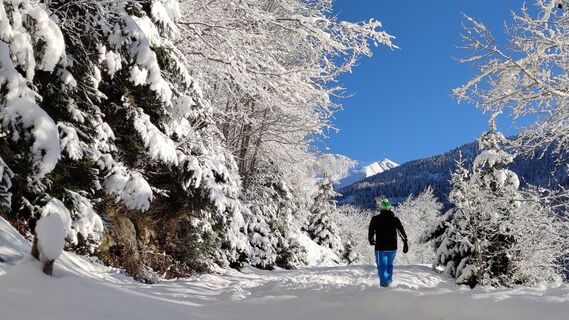 Winterwanderung auf der Vorderwaldrunde