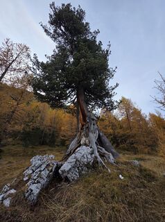 Foto von Mădălin entlang der Tour