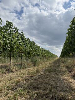 Foto da Olena Duriagina lungo il tour