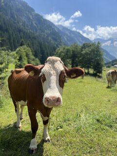 Foto von Ben Möhlmann entlang der Tour
